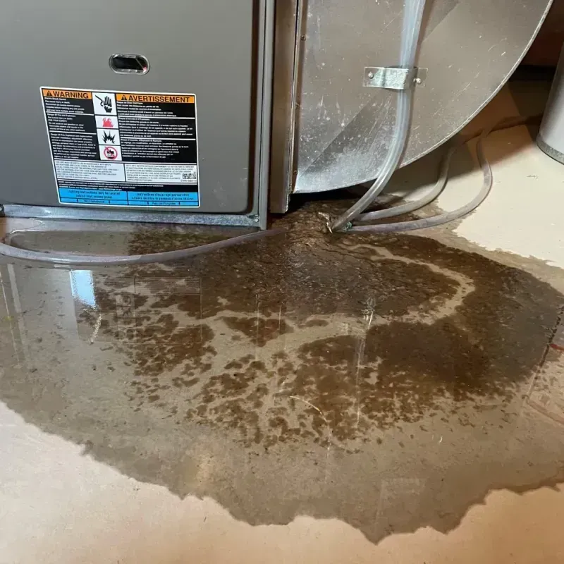 Appliance Leak Cleanup in Crestview, FL